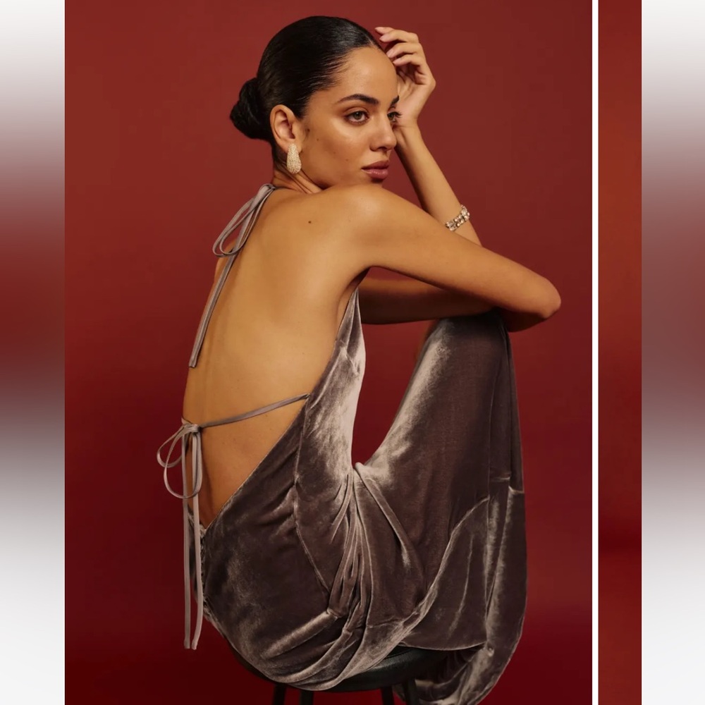 Reformation jeany Velvet dress magnetic
